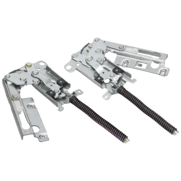cerniere dx/sx lavastoviglie rex 4055327938