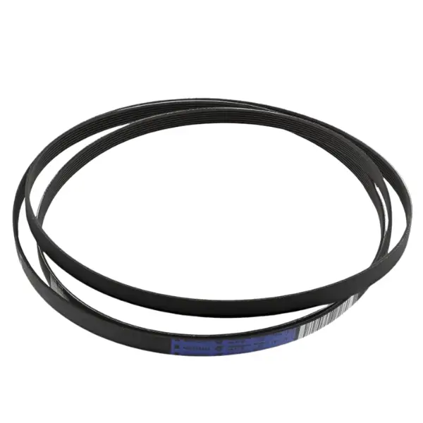 cinghia asciugatrice rex 140056254018/1971h7