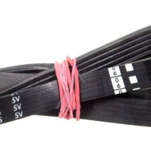 1225J5EL Cinghia Poly-V elastica Candy