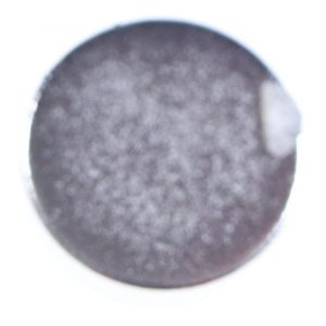 2980080200 C00875548 Magnete Beko