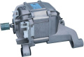 DC93-00316A Motore BLDC ARNO WDM500FGBF DC 310V Samsung DC9300316A