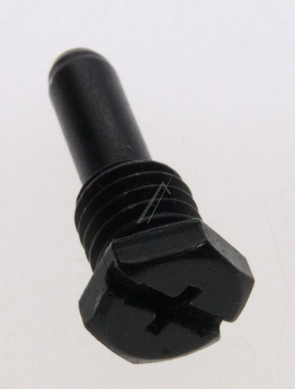 2210093098 Perno cerniera Electrolux
