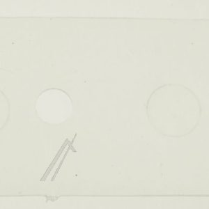 50117707005 Guarnizione cerniera Electrolux