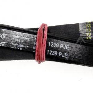 1239J5EL Cinghia Poli-V elastica Ignis