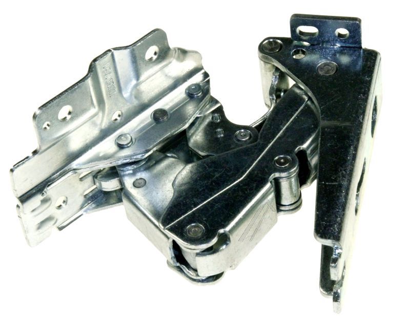 00750251 Cerniera porta Bosch