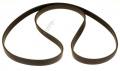 C00315469 480113100053 Cinghia Ignis