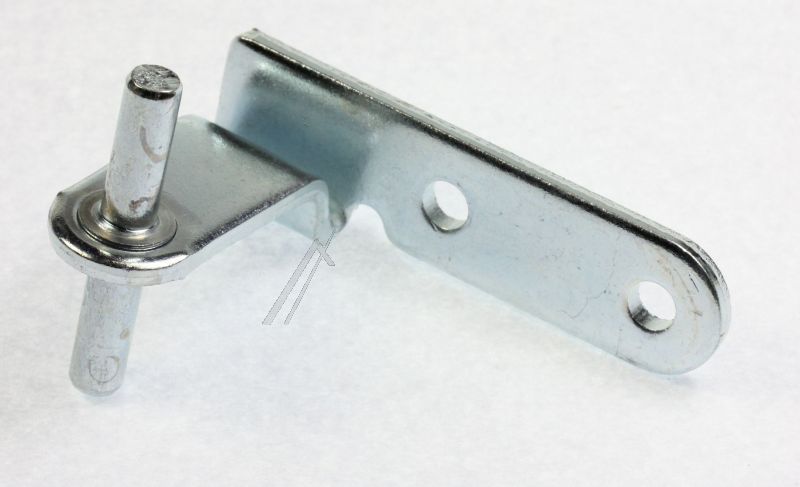 C00196292 488000196292 Cerniera centrale zincata (perni 38 mm) Hotpointariston