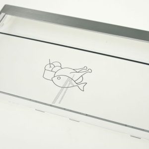 4640781000 C00873521 Frontale cassetto congelatore serigrafato Grundig