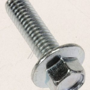0060600251 49046190 Vite per cerniera Haier