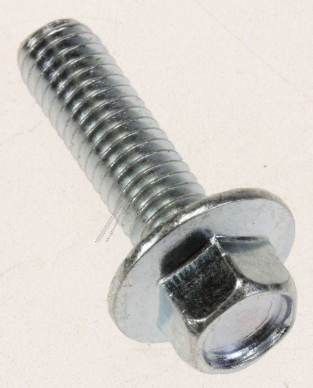 0060600251 49046190 Vite per cerniera Haier