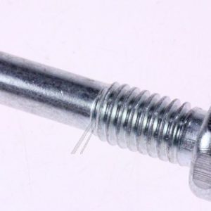 C00311311 481953598188 Perno cerniera Ignis