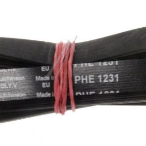 1231H8EL/MA Cinghia Poly-V elastica Candy