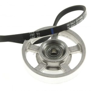 696370081 Puleggia e cinghia Smeg