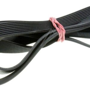 1243H8EL Cinghia Poly-V Ignis
