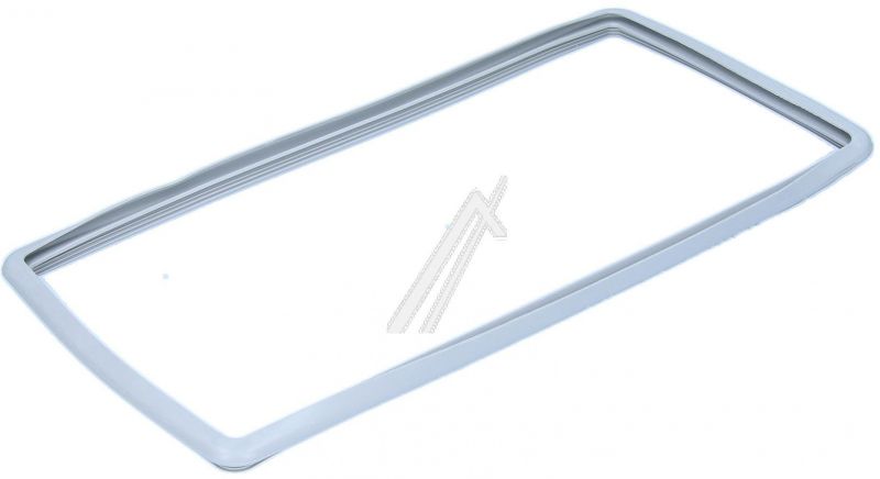 1366345005 Guarnizione porta filtro HP Rexelectrolux