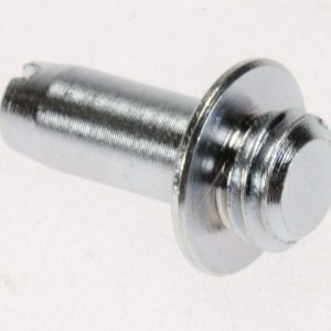 C00293114 482000023326 Perno cerniera 19 mm Hotpointariston
