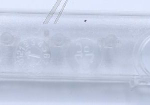 769350066 Indicatore LED ST-03 5 LED ver.2 Smeg