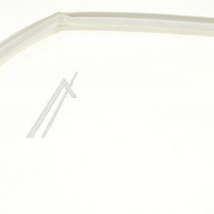 0070205262A 49045975 Guarnizione porta Haier