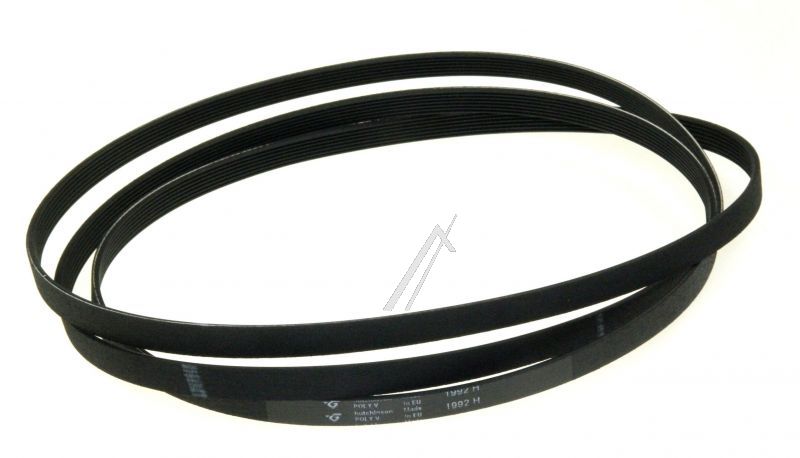 C00375170 481935828002 Cinghia Siemens