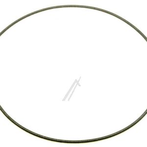 C00309456 480111100817 Molla/anello guarnizione oblò Indesit