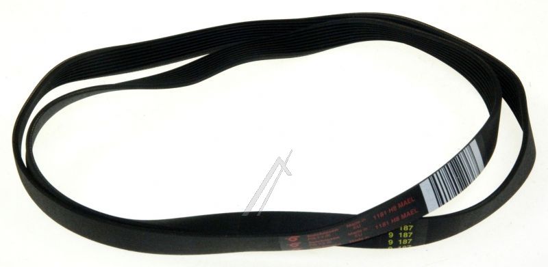 C00066521 482000027245 Cinghia elastica L=1181 mm H8 Indesit