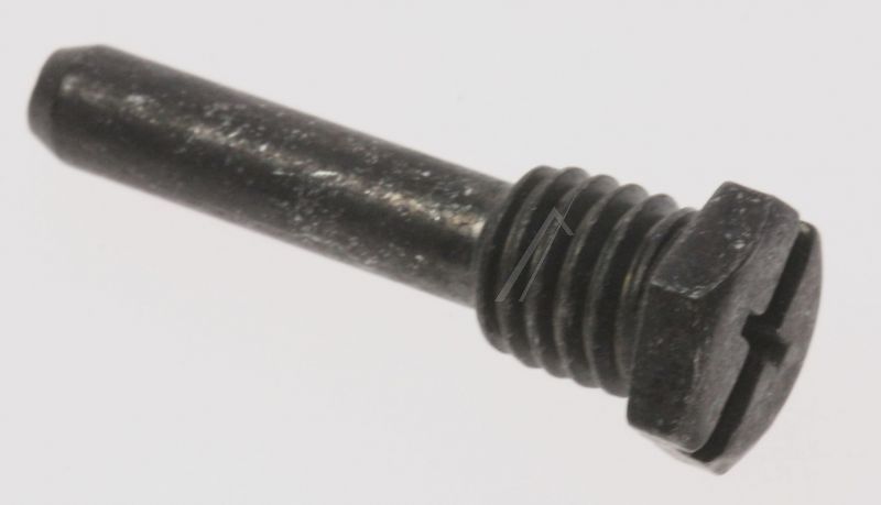2210093080 Perno cerniera Rexelectrolux