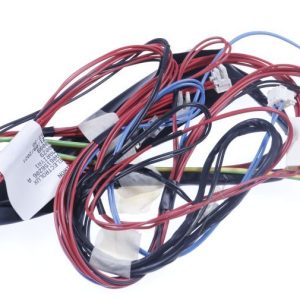 140061562066 Cablaggio porta Electrolux