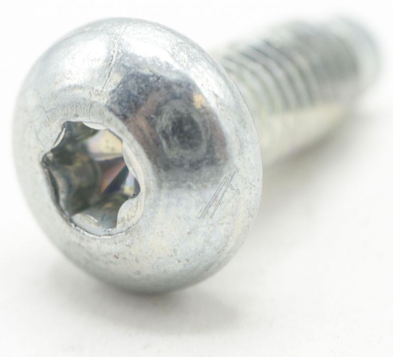 C00283996 C00283996 Vite cerniera oblò Ecoprime M5x13 T20 Indesit