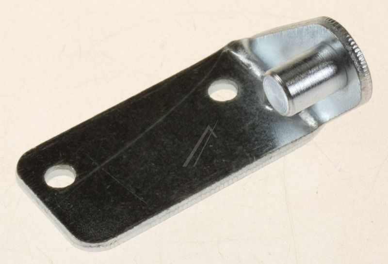 C00113852 482000028689 Cerniera inferiore FMD Hotpointariston