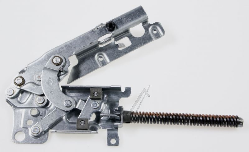 1173570019 Cerniera destra Electrolux