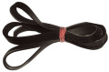 1244J5 Cinghia Poly-V Beko