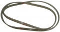 1217J4 EL Cinghia Poly-V Rex