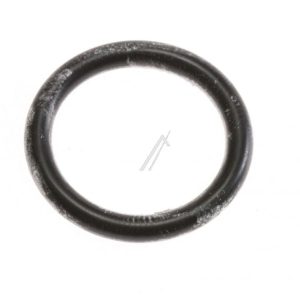 50225319008 Guarnizione pompa di scarico Rex