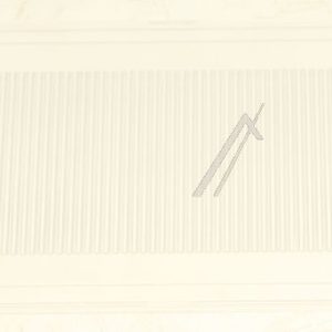 4889200100 C00946873 Copertura luce vano congelatore Beko