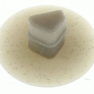 2230250124 Tappo boccola 272 6×6 mm Rexelectrolux