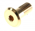 C00084862 482000027649 Vite fissaggio maniglia Hotpointariston