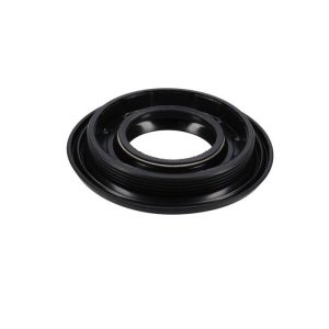 guarnizione per lavastoviglie bauknecht c00096186